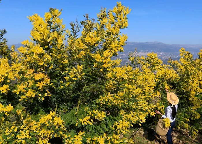 Hotel Staybridge - Centre By Ihg